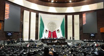 Que mexicanos en el exterior voten en la elección judicial, exige PAN