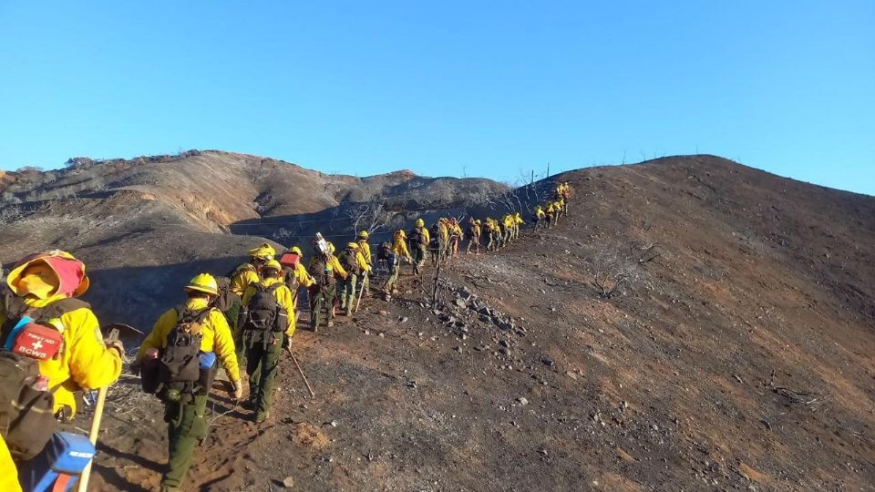 La brigada de Defensa ha llevado a cabo acciones de búsqueda