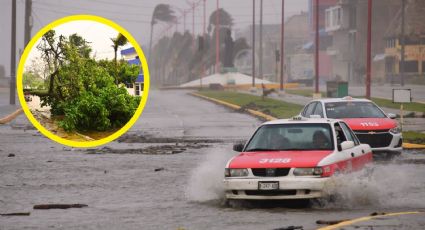 Frente Frío 24: Activan Alerta Gris en el Puerto de Veracruz; ¿qué afectaciones tendrá?