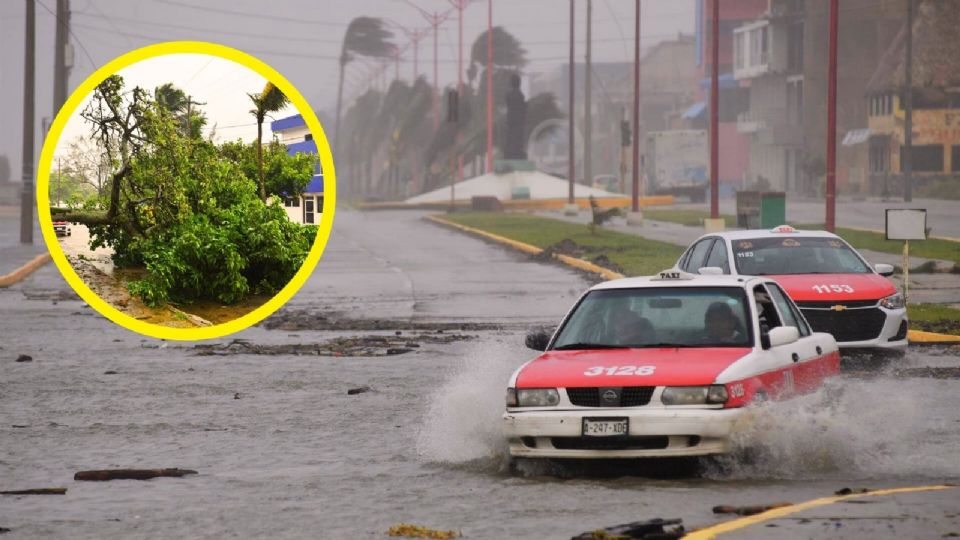 Alerta Gris por el Frente Frío No. 24 en el Puerto de Veracruz.