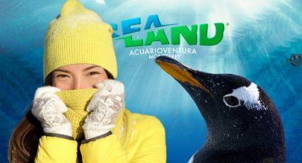 Acuario Sealand en Monterrey lanza promociones por el Frente Frío 24