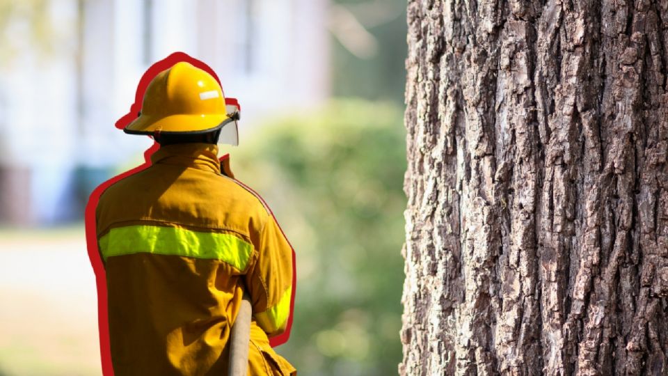 Dieron aviso a los servicios de emergencia, por lo que a la llegada de los bomberos, la circulación quedó restringida.