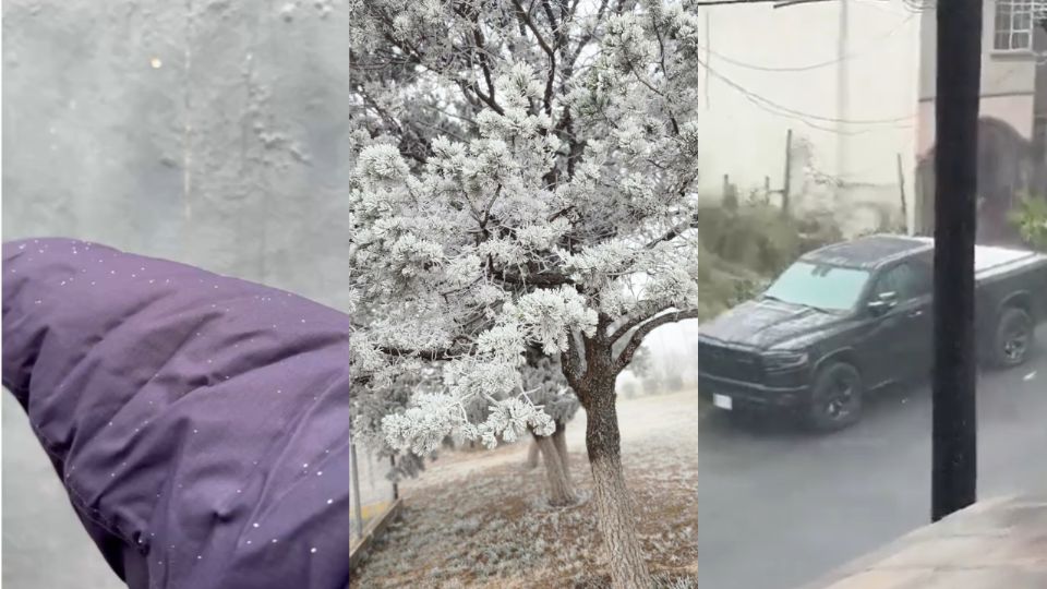 En áreas como la colonia Mitras y el sector de Cumbres, las gotas de nieve se acumulaban en las superficies frías.