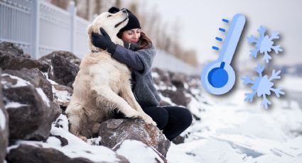 ¿Cuál es la temperatura más baja que puede aguantar un perro?