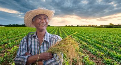 Amplía SADER plazo para reinscripción al Programa Especial de Energía para el Campo