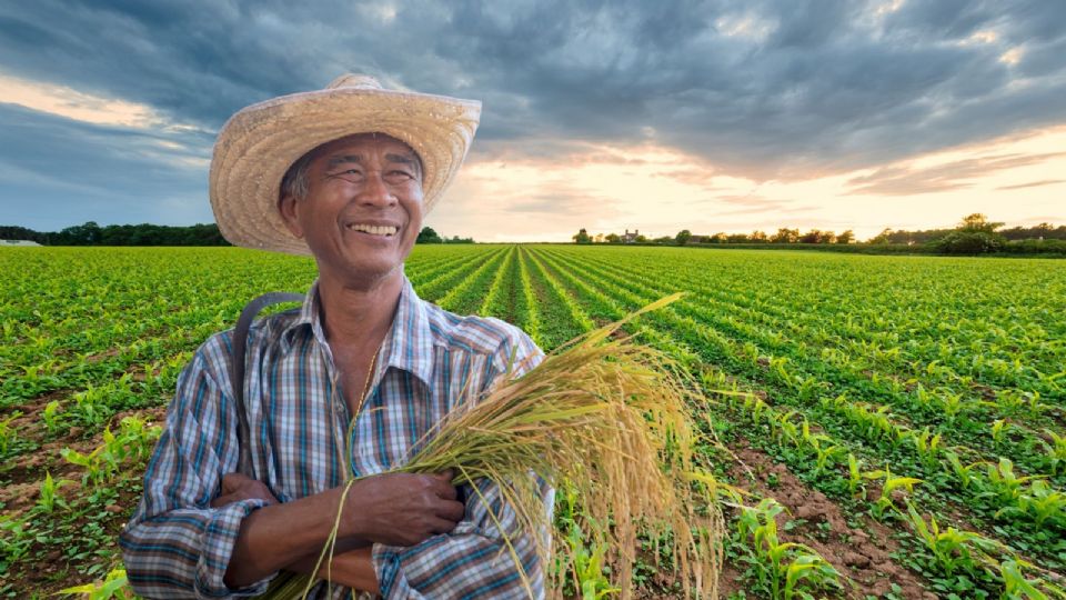 Las personas interesadas pieden acudir a las ventanillas de atención en los Distritos de Desarrollo Rural.