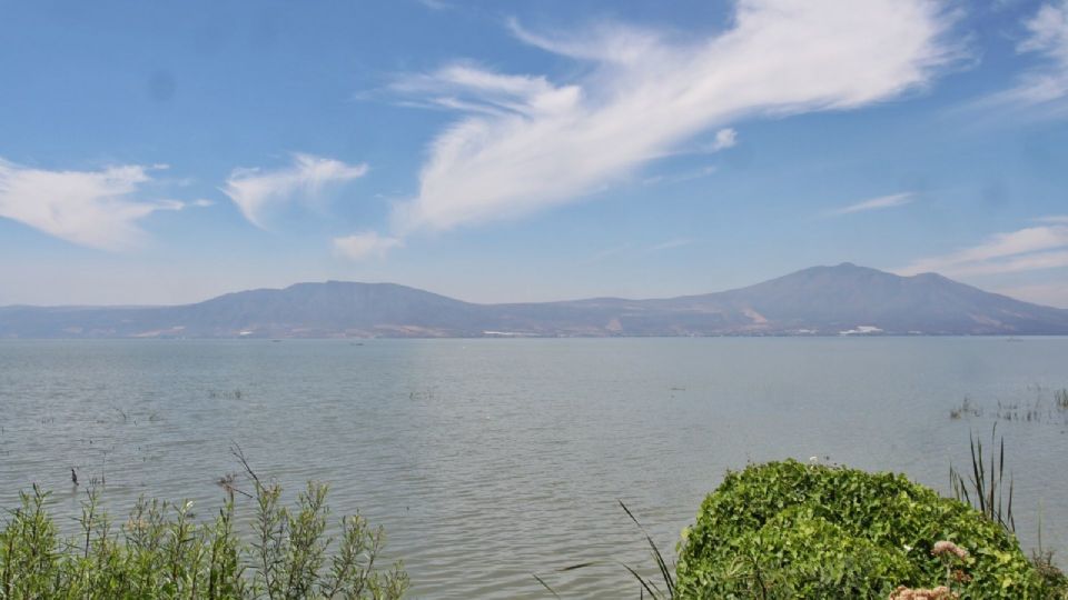 Se indico que en los testimonios se observa que camiones de carga arrojan escombros a un predio próximo al Lago de Chapala.