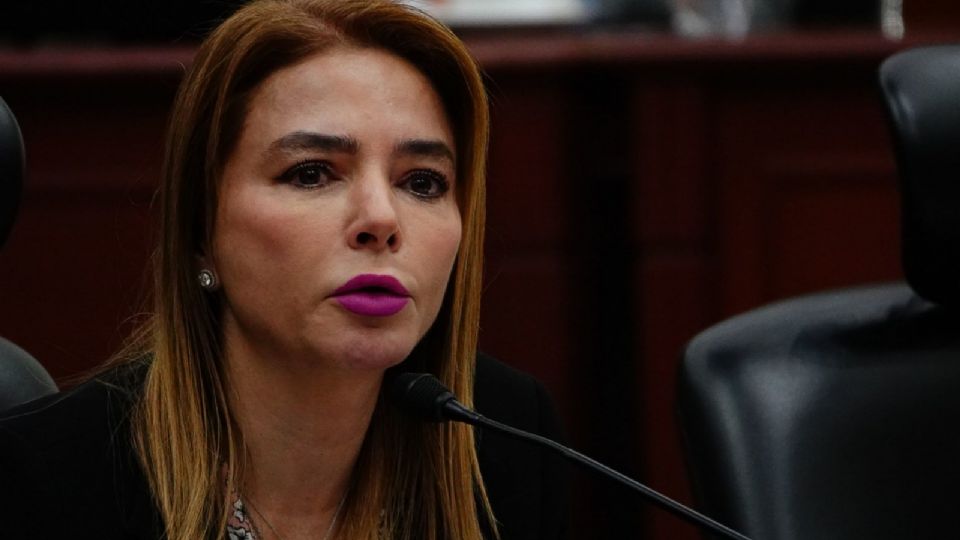 Carla Humphrey señaló que no se podrá hacer uso de recursos públicos, en efectivo o en especie.