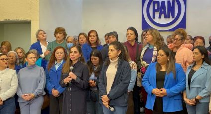 Diputada del PAN pide frenar intervención estatal en caso de violencia de género