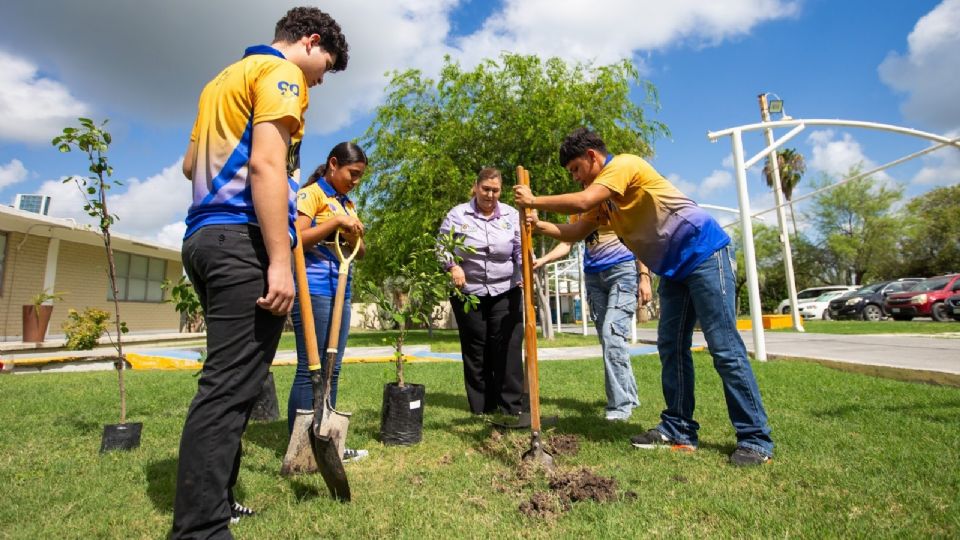 La UANL lidera el ranking Green Metric 2024, consolidándose como la universidad más sustentable de México y América Latina.