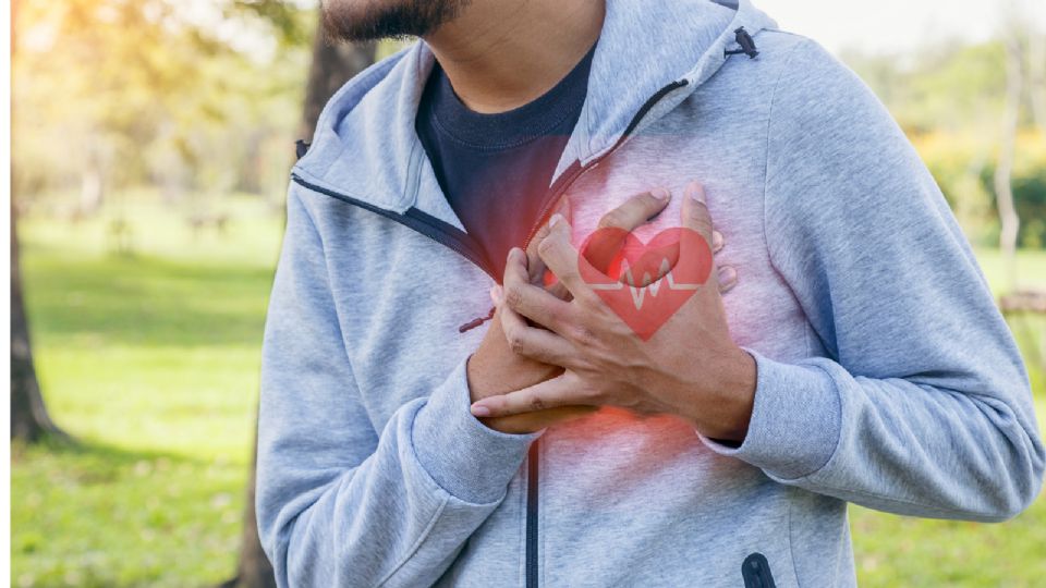 Parches musculares hechos de células madre pueden reparar corazones dañados, según estudio.