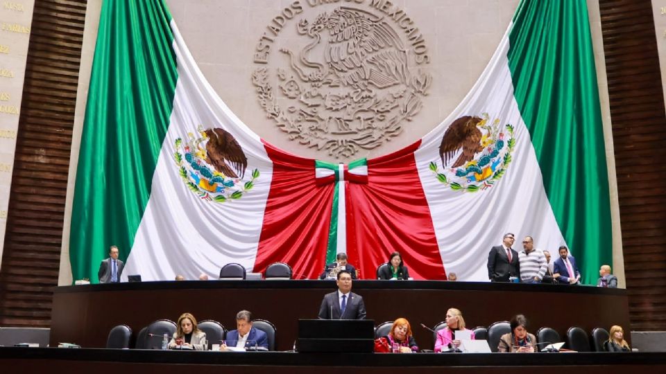 Aseguran que Rosario Piedra no ha estado a la altura de los desafíos que enfrenta el país en materia de derechos humanos.