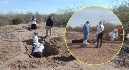 Guerreras Buscadoras hallan hielera con restos humanos de 6 personas en Sonora; esto sabemos