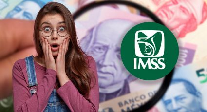 Lo que debes saber sobre la Modalidad 40 del IMSS en 2025