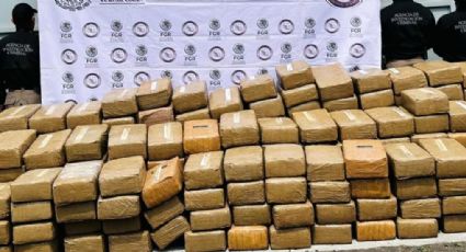 FGR Nuevo León logró 228 sentencias y decomisó más de 3 toneladas de droga en 2024