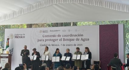 Anuncian gran alianza en defensa del bosque de agua y declararla reserva natural federal