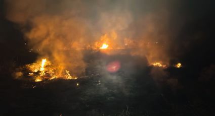 Incendios en Nuevo León dejan a dos personas sin vida y tres perritos