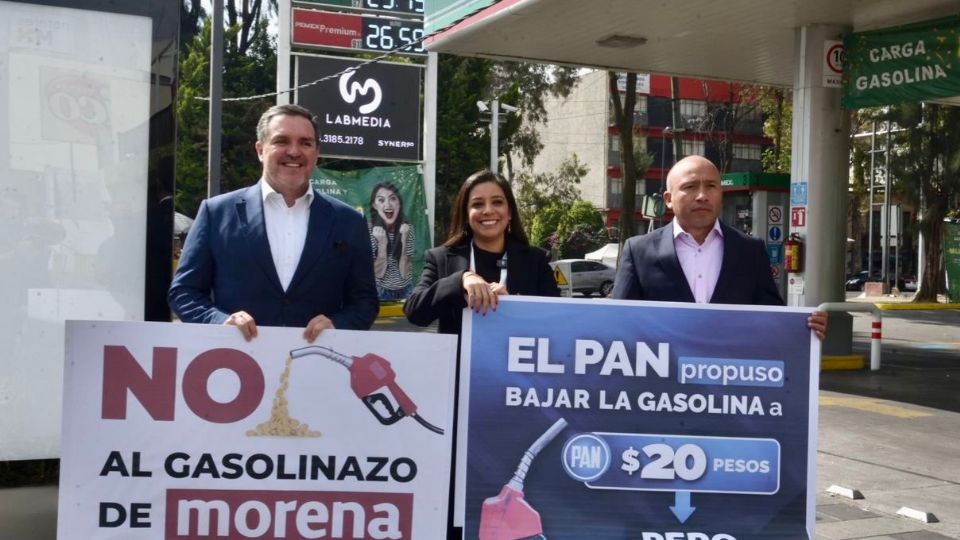 La presidenta del PAN en la capital del país, Luisa Gutiérrez Ureña, estuvo acompañada por el secretario general Héctor Barrera y el diputado federal Federico Döring.