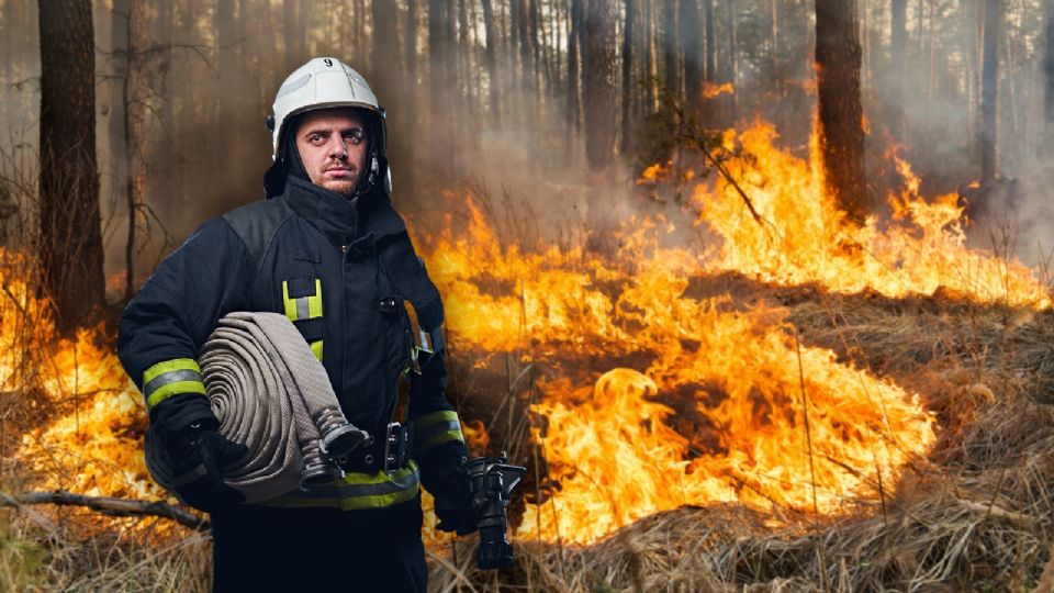 ¿Cómo afectan los vientos de Santa Ana a los incendios de Los Ángeles?