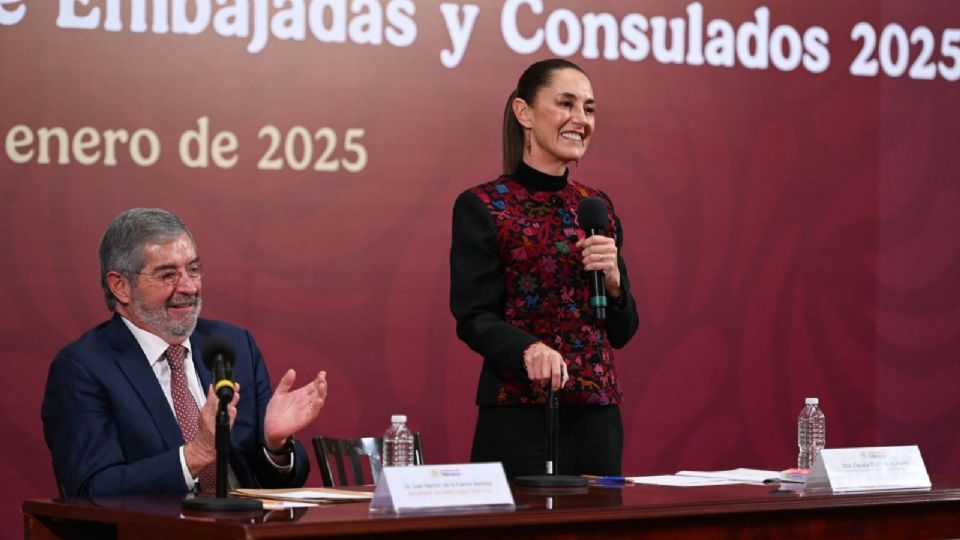 El planteamiento de la funcionaria federal fue turnado a la Comisión de Gobernación de la Cámara de Diputados.