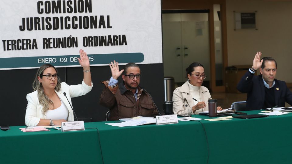 Comisión Jurisdiccional de la Cámara de Diputados.