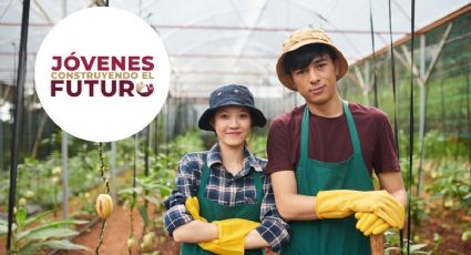 Jóvenes Construyendo el Futuro: así puedes registrarte desde el 1 de octubre