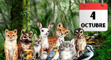 4 de octubre, Día Mundial de los Animales: datos sorprendentes que debes conocer