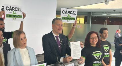 Iniciativa 'Pay de Limón' busca fortalecer marco legal contra el maltrato animal