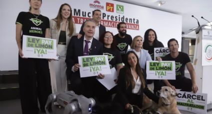 Waldo Fernández impulsa iniciativa de bienestar animal junto a Animal Heroes