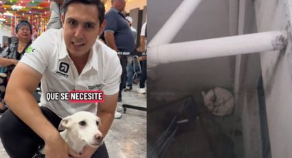 Rescatan a perrito maltratado en Apodaca luego de denuncia viral
