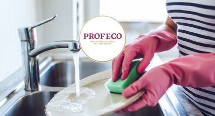 Profeco revela las mejores fibras para lavar trastes