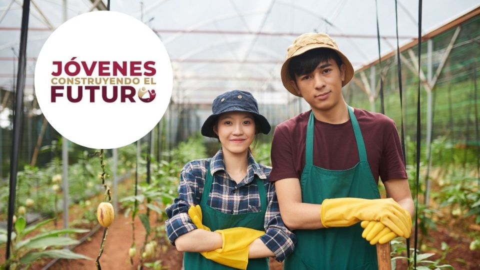 Jóvenes Construyendo el Futuro: así puedes registrarte desde el 1 de octubre