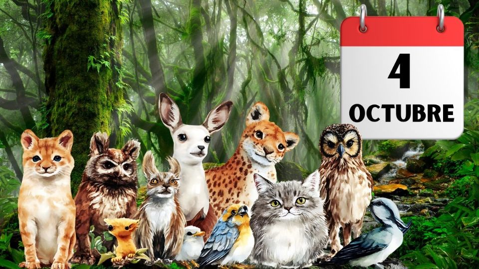 Día Mundial de los Animales: esto es lo que no sabías sobre su celebración el 4 de octubre