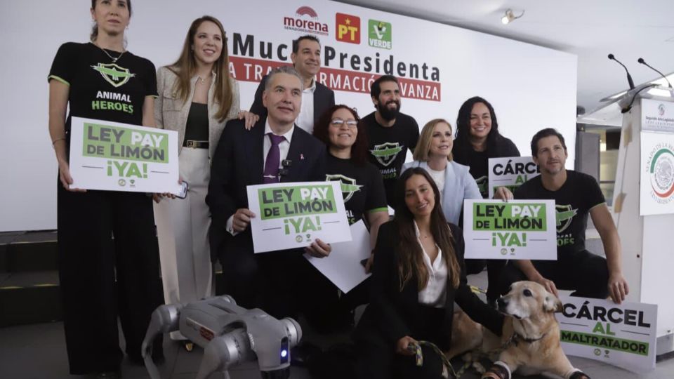 El senador Waldo Fernández presentó junto a Animal Heroes una iniciativa de bienestar animal que contempla la creación de santuarios y sanciones más claras contra el maltrato.