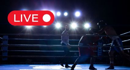 Peleas de box 11 de octubre: donde ver la cartelera completa en vivo