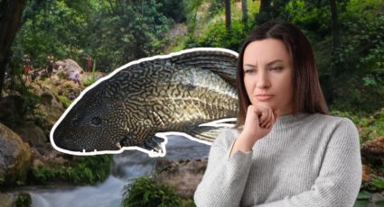 Alerta en Nuevo León: Ahora reportan aparición del pez diablo en el Río La Silla