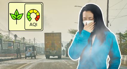 Calidad del aire hoy en CDMX y Edomex: esto debes saber antes de salir este 14 de octubre