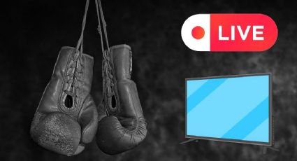Peleas de box hoy: cartelera completa y dónde ver este 18 de octubre