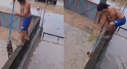 VIDEO | Niño se viste de héroe y salva a gatito de ahogarse durante inundaciones en Veracruz