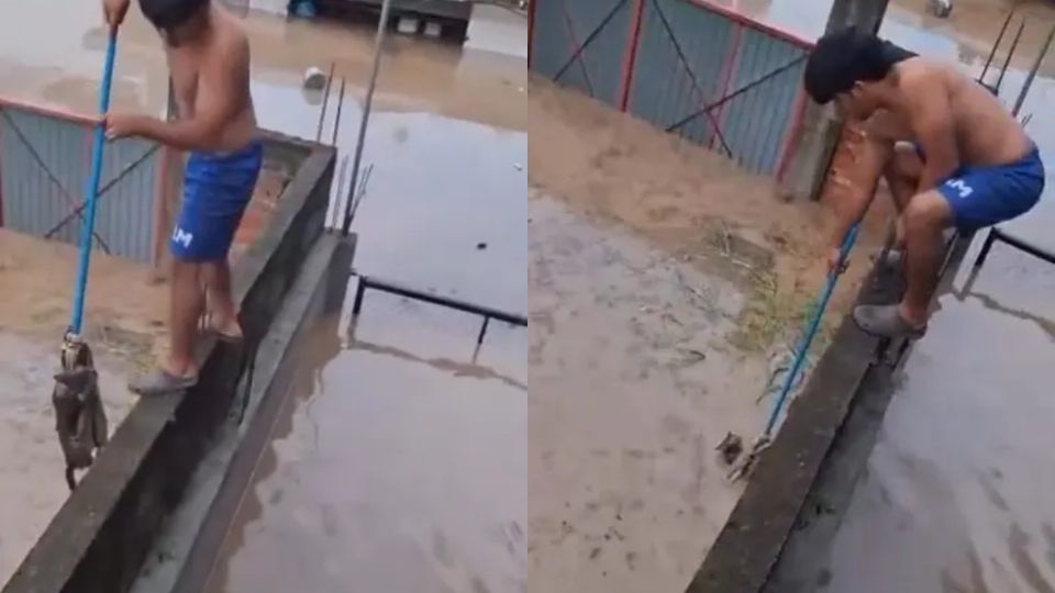 Niño salva a gatito de ahogarse durante inundaciones en Veracruz