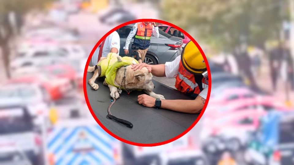 Personal de bomberos ingresó al inmueble para sofocar las llamas y verificar que no queden focos de calor.
