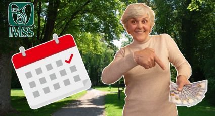 ¿Cuándo llegará tu aguinaldo del IMSS en 2025? Aquí te decimos