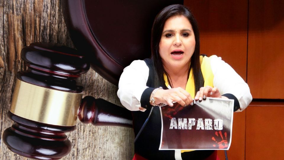 Una de las áreas más preocupantes, según Burgoa, es el aumento de requisitos para que colectivos y comunidades puedan interponer un amparo.