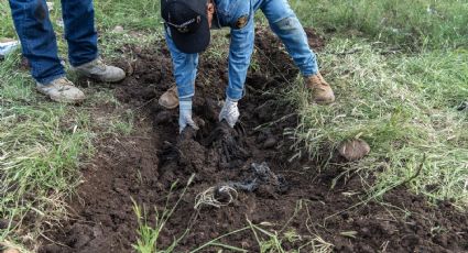 Hallan restos humanos calcinados durante operativo en Linares
