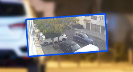 VIDEO | Conductor atropella a perrito y huye en la GAM