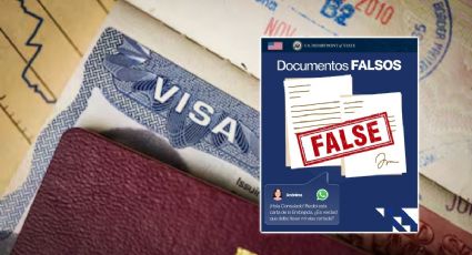 Alerta por fraude de revocación de visa: guía para no caer en la trampa y verificar tu estatus