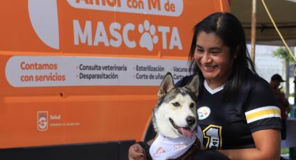 Guadalupe tendrá nuevo reglamento para la protección responsable de animales