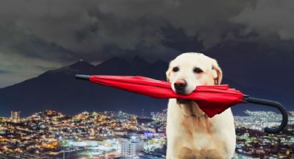 Clima en Monterrey: ¿Llovera este lunes 20 de octubre?