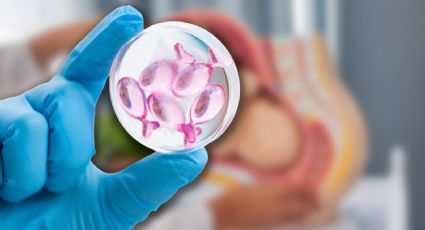 ¿Qué es la fertilización in vitro? Especialista explica cómo funciona y cuándo es efectiva