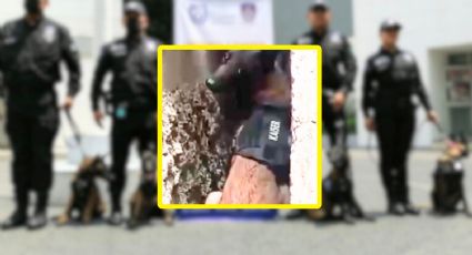 VIDEO | Momento exacto en que perro Káiser halla los restos de Alma Sánchez